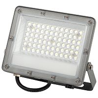 Прожектор светодиодный уличный ЭРА PRO LPR-063-0-65K-050 50Вт 6500K 5000лм IP65 90°