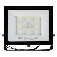 Светодиодный прожектор FL SMD Pro 100W/6500K/IP65 (SBL-EFL-100-65)