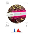 FITO-9W-RB-Т8-G13-NL  Фитолампа для растений светодиодная ЭРА FITO-9W-RB-Т8-G13-NL и мясных прилавков 9 Вт Т8 G13 красно-синего спектра
