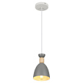 5109-310  Светильник подвесной (подвес) Rivoli Catherine 5109-310 1хЕ27 60 Вт лофт-кантри