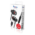 Внутриканальная гарнитура Smartbuy M100-C, металлич корпус,микрофон,пульт, TYPE-C (SBH-021K-C)/60