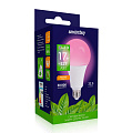 Светодиодная (LED) Лампа ФИТО Smartbuy-A80-17W/E27 (SBL-A80-17-fito-E27)/100