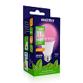 Светодиодная (LED) Лампа ФИТО Smartbuy-A60-11W/E27 (SBL-A60-11-fito-E27)/100